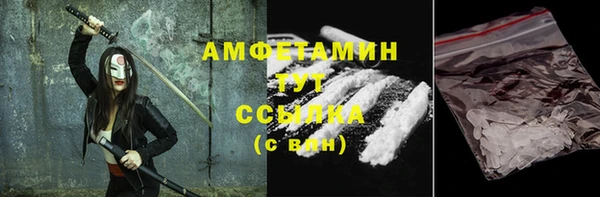 трава Няндома