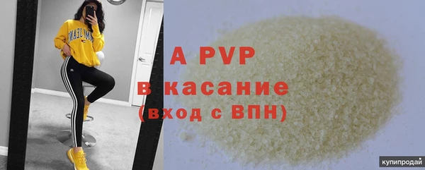 мяу мяу мука Арсеньев