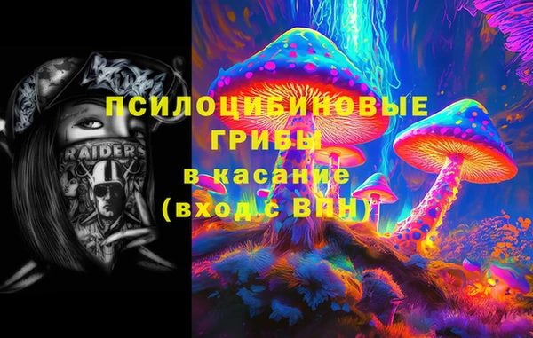 сатива Ахтубинск